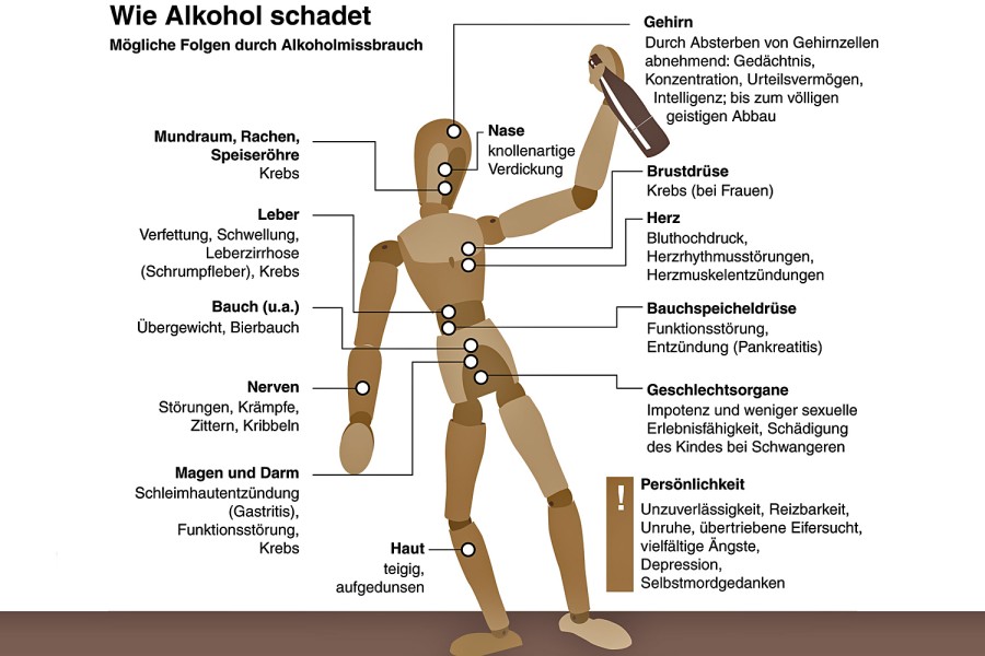 Risiko Alkohol: Was macht Alkohol im Körper?