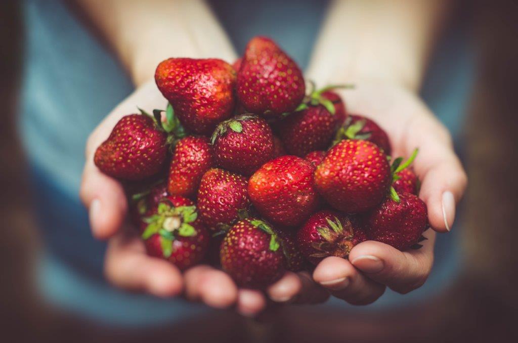 Vitamine & Spurenelemente