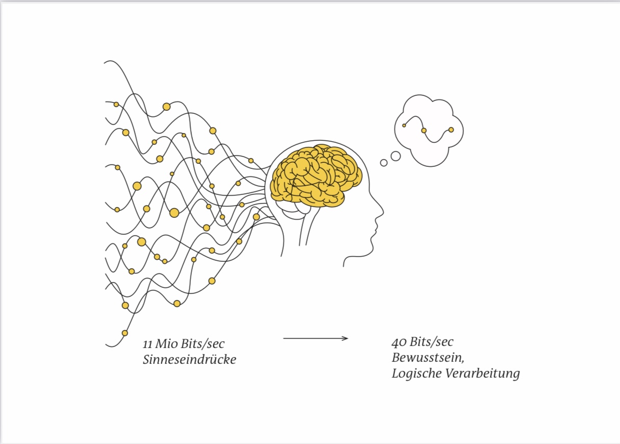 Rückkopplungsprobleme zum Hirn